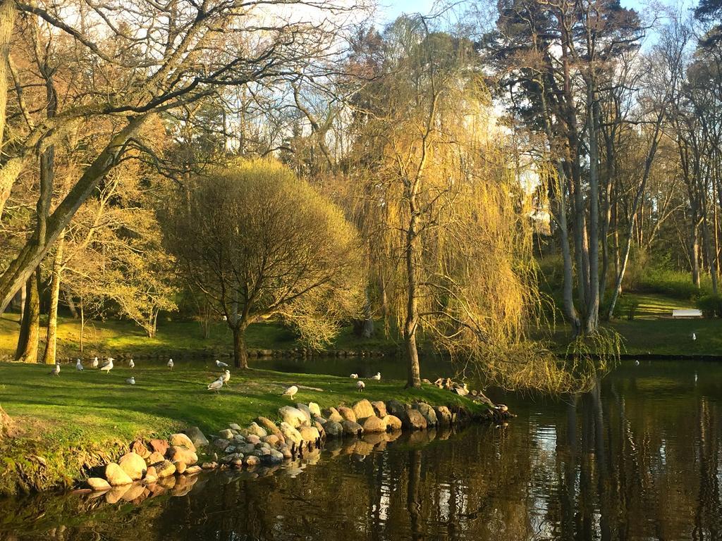 Vila Elegancija Palanga Buitenkant foto